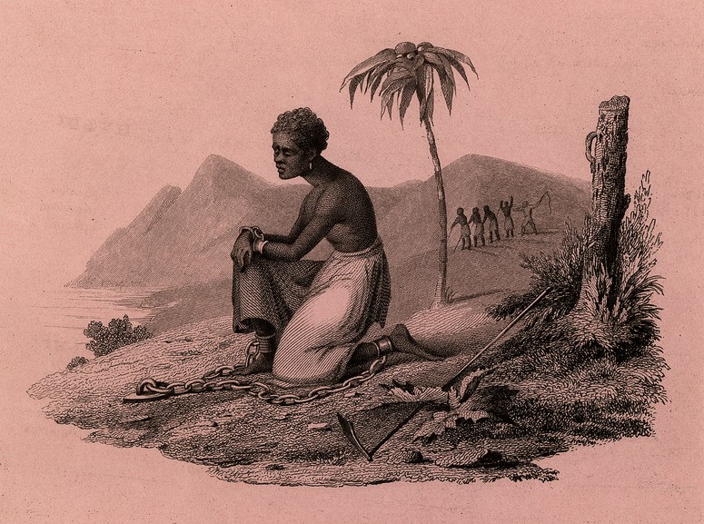Image of Enslaved Woman, British West Indies, 1826 SOURCE: Female Society for Birmingham, West-Bromwich